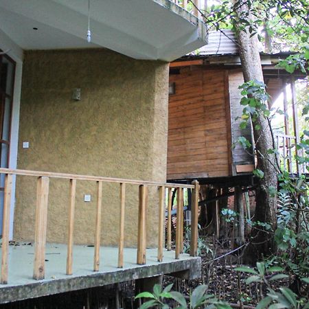Seasons Four Mini Jungle Cabana Matara Luaran gambar