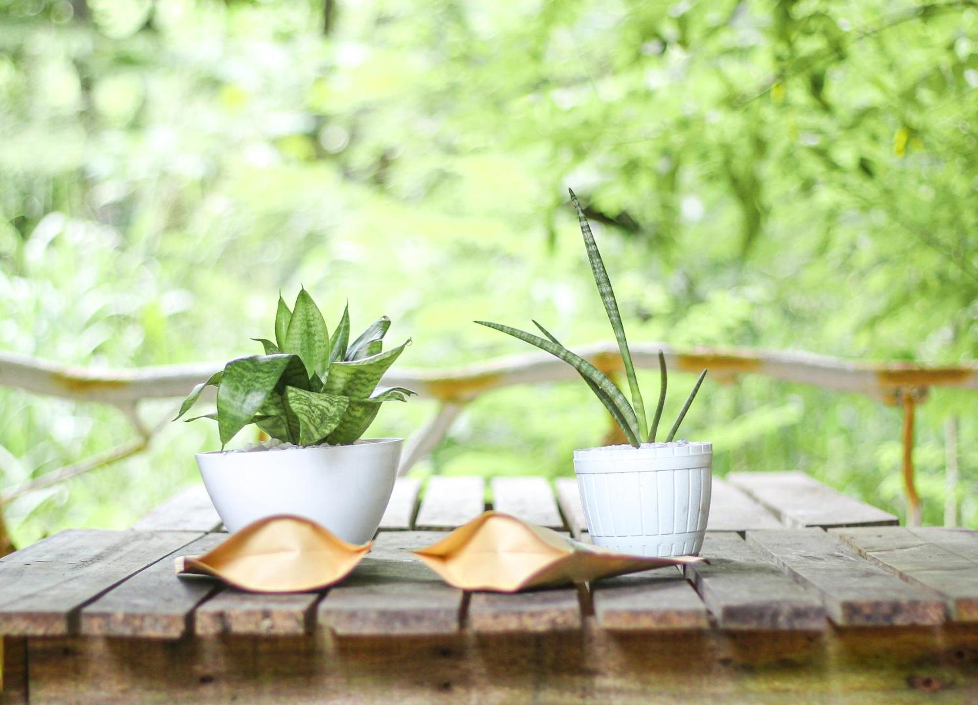 Seasons Four Mini Jungle Cabana Matara Luaran gambar