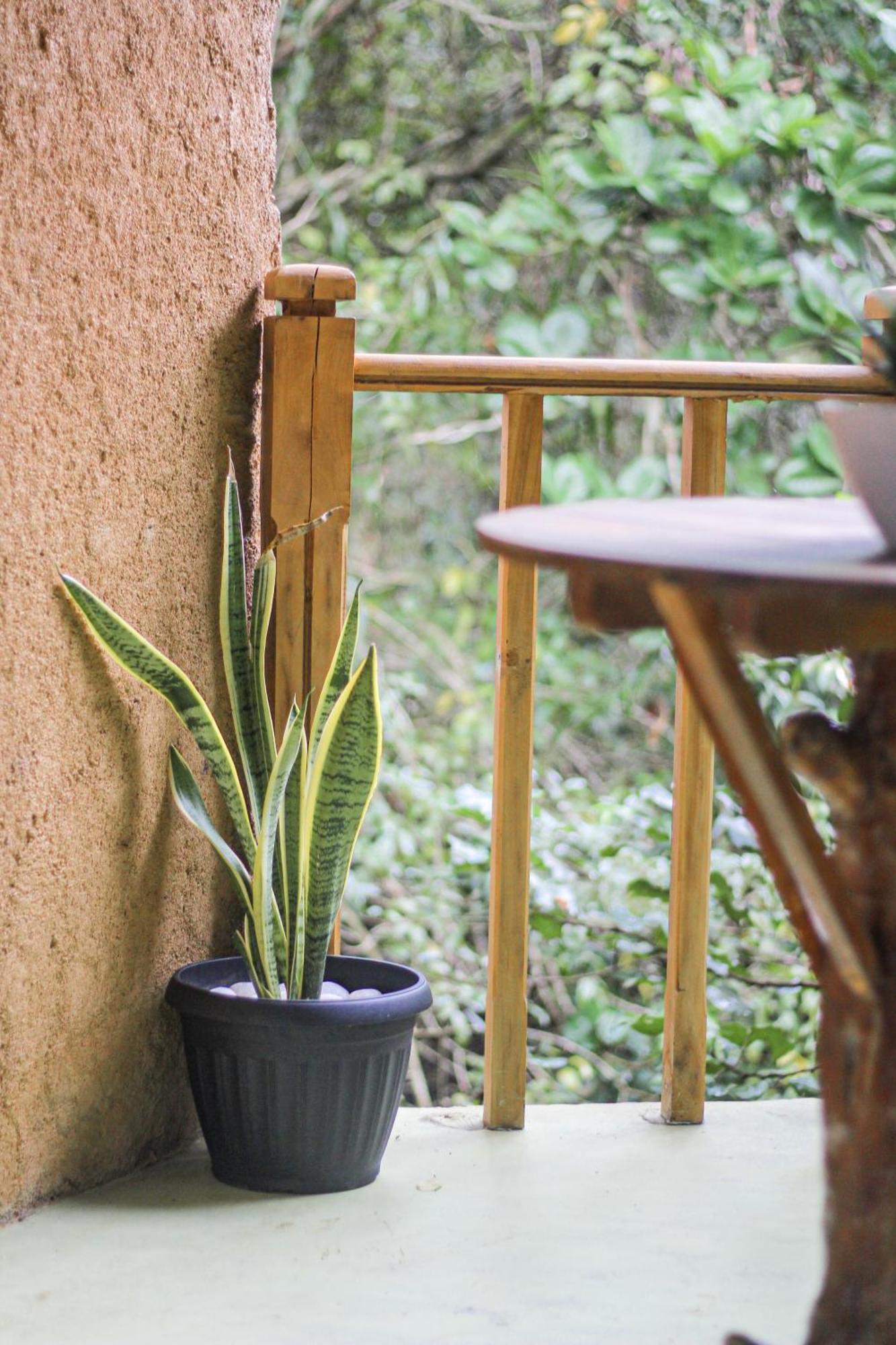 Seasons Four Mini Jungle Cabana Matara Luaran gambar